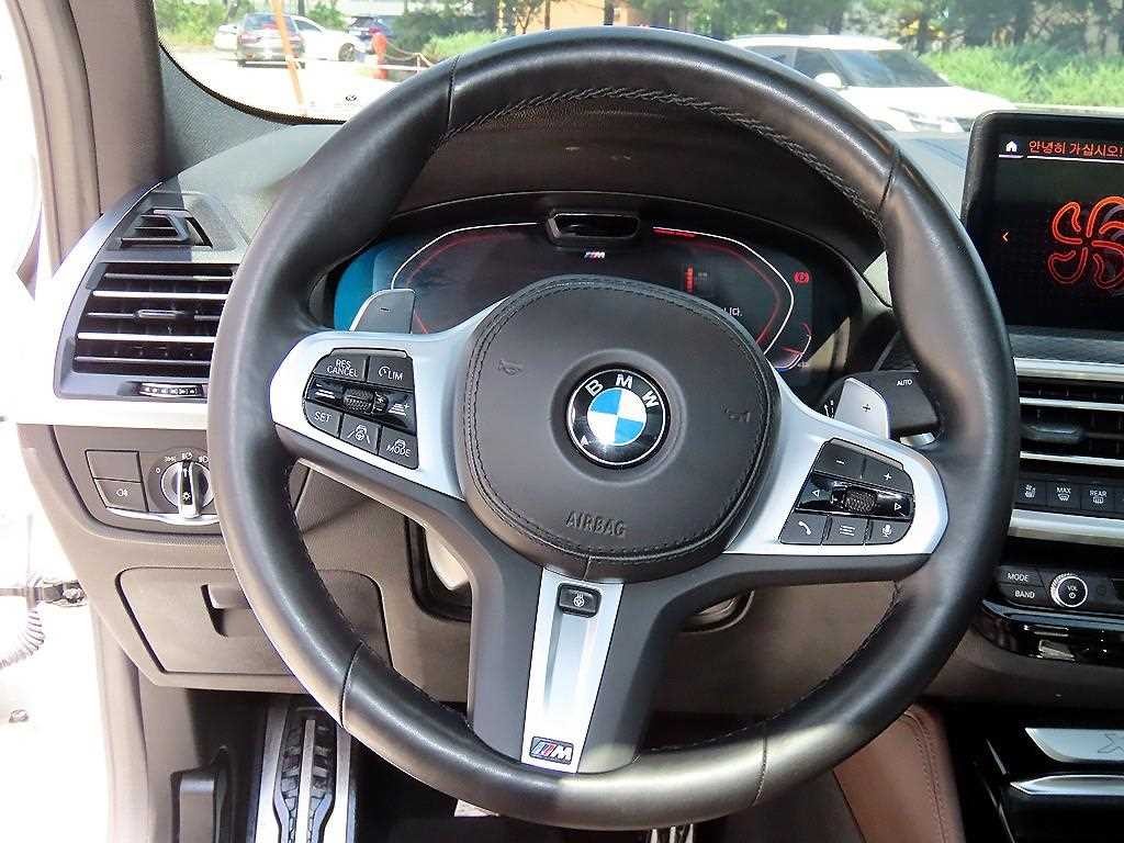 BMW X4 X4 (G02) xDrive 20i M 스포츠 이미지 8