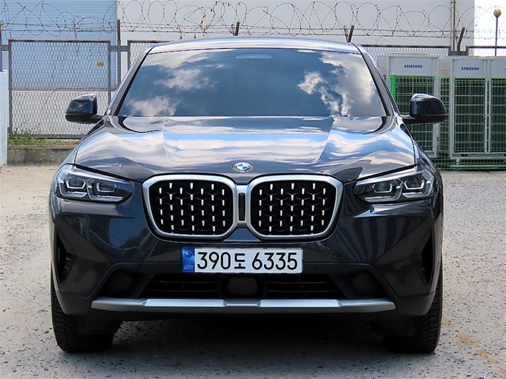 BMW X4 X4 (G02) xDrive 20i xLine 이미지 1