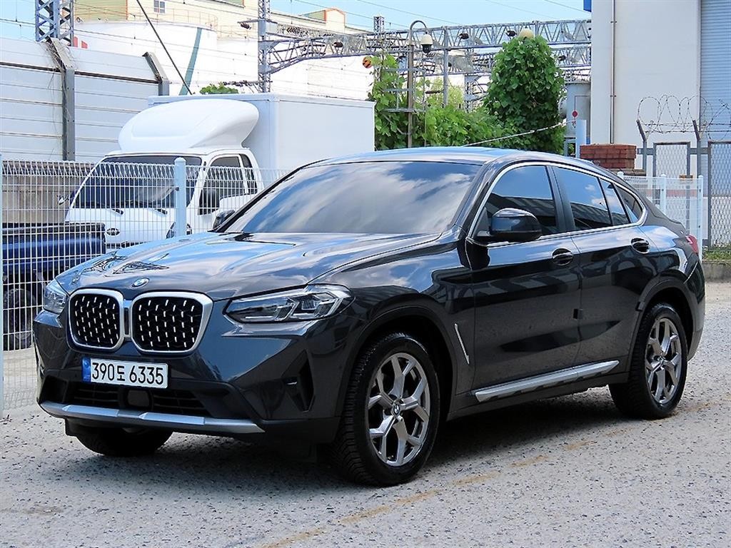 BMW X4 X4 (G02) xDrive 20i xLine 이미지 2