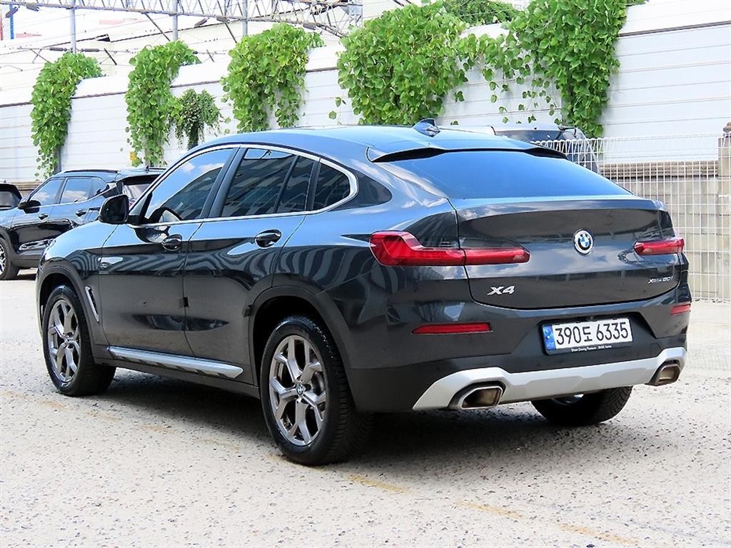 BMW X4 X4 (G02) xDrive 20i xLine 이미지 3