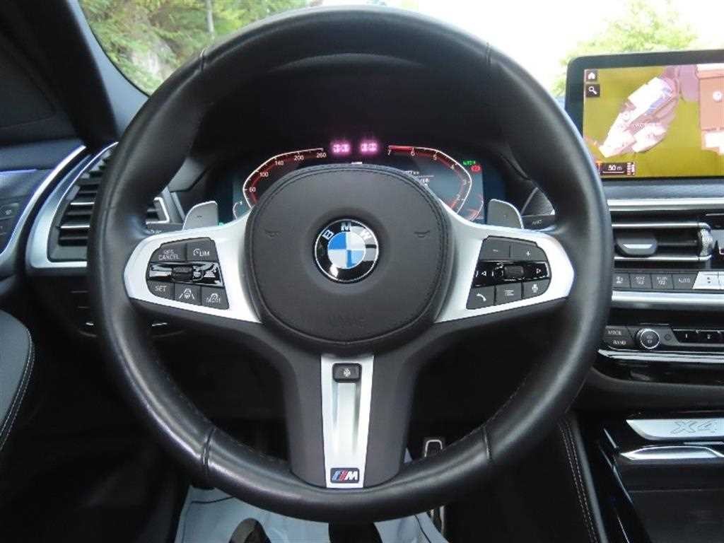 BMW X4 X4 (G02) xDrive 20i M 스포츠 이미지 16