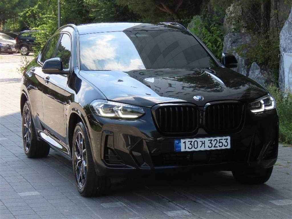 BMW X4 X4 (G02) xDrive 20i M 스포츠 이미지 2