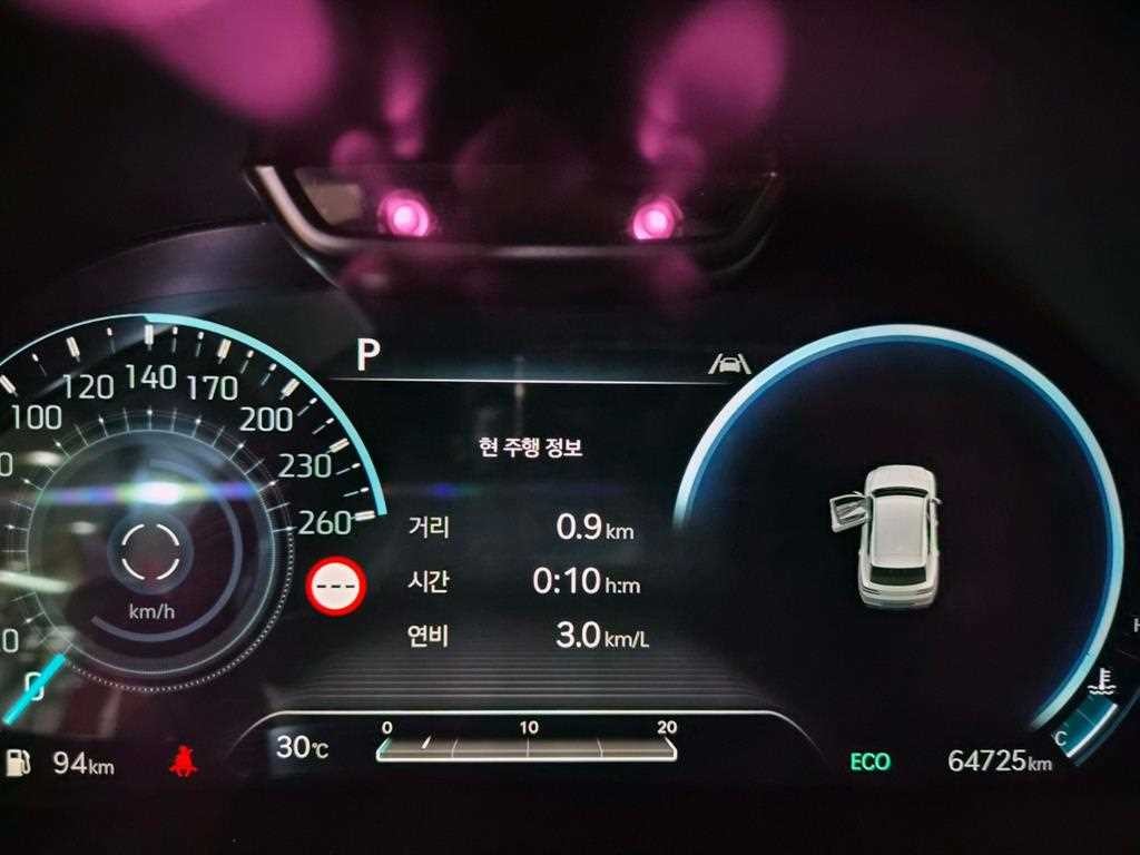 제네시스 GV80 디젤 3.0 AWD 이미지 9