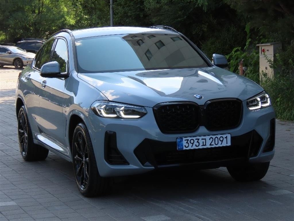 BMW X4 X4 (G02) xDrive 20i M 스포츠 프로 이미지 2