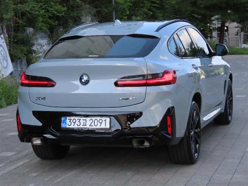 BMW X4 X4 (G02) xDrive 20i M 스포츠 프로 이미지 3