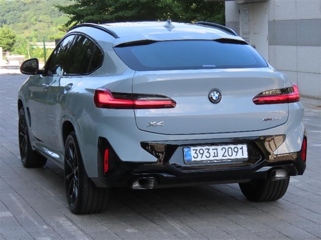 BMW X4 X4 (G02) xDrive 20i M 스포츠 프로 이미지 4