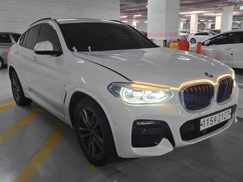 BMW X4 X4 (G02) xDrive 20d M 스포츠 이미지 2
