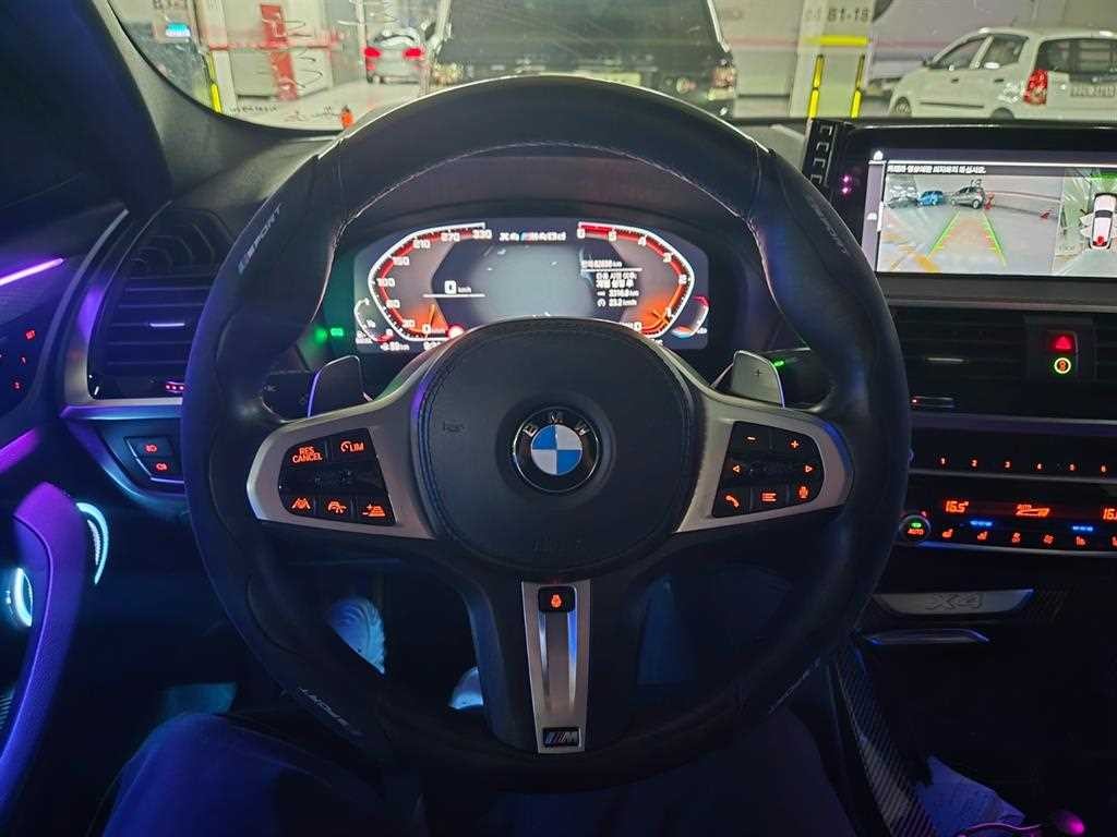 BMW X4 X4 (G02) xDrive 20d M 스포츠 이미지 8