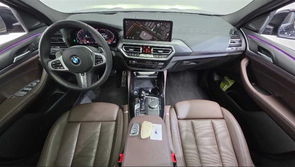 BMW X4 X4 (G02) xDrive 20i M 스포츠 프로 이미지 10