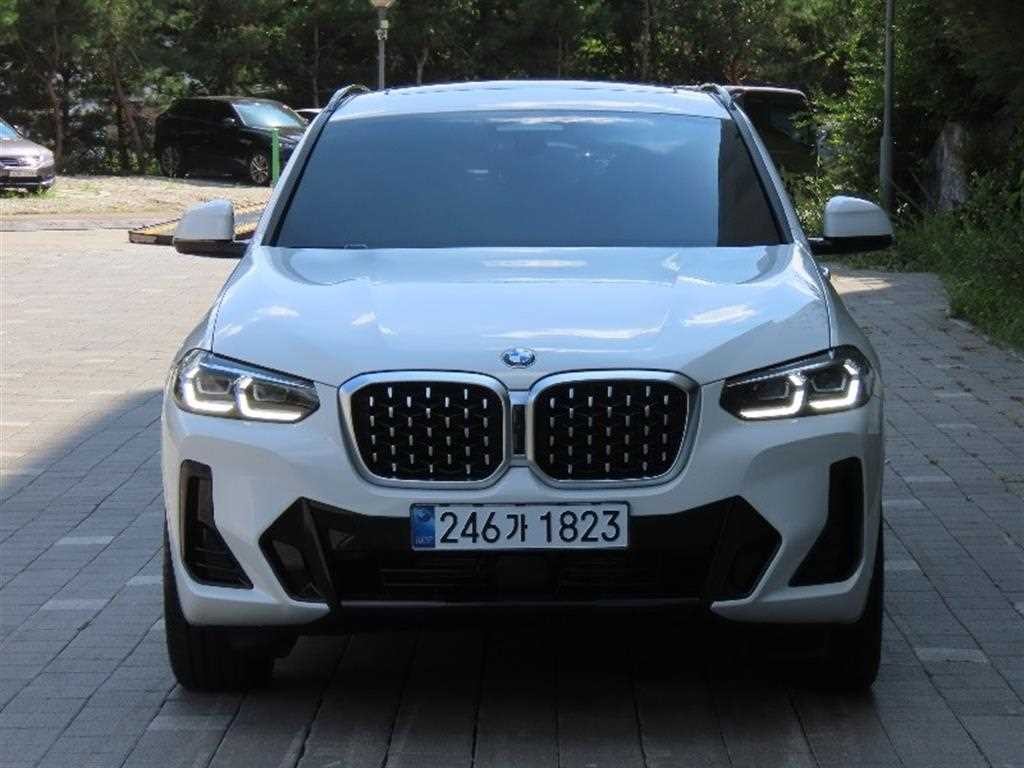 BMW X4 X4 (G02) xDrive 20i M 스포츠 이미지 1