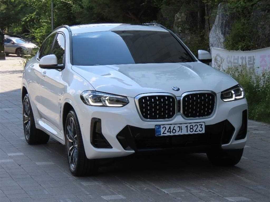 BMW X4 X4 (G02) xDrive 20i M 스포츠 이미지 2