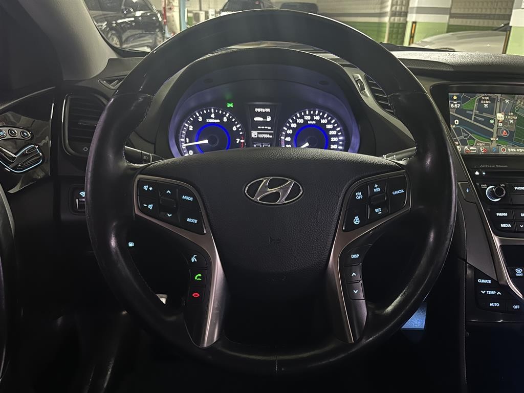 현대 그랜저 그랜저 HG HG300 PREMIUM 이미지 15