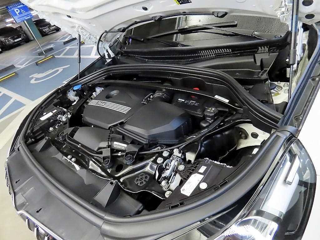 BMW X1 X1 (U11) sDrive 20i M 스포츠 이미지 19