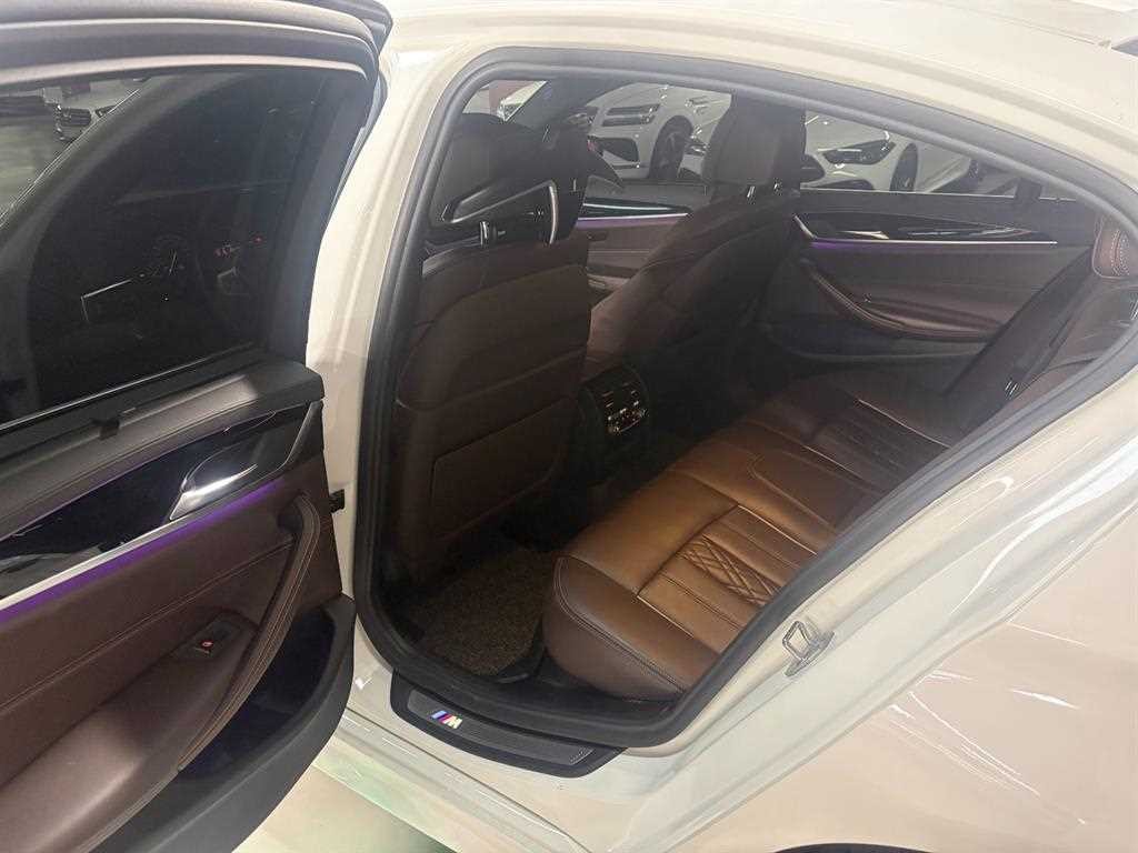 BMW 5시리즈 5시리즈 (G30) 530i xDrive M 스포츠 플러스 이미지 6