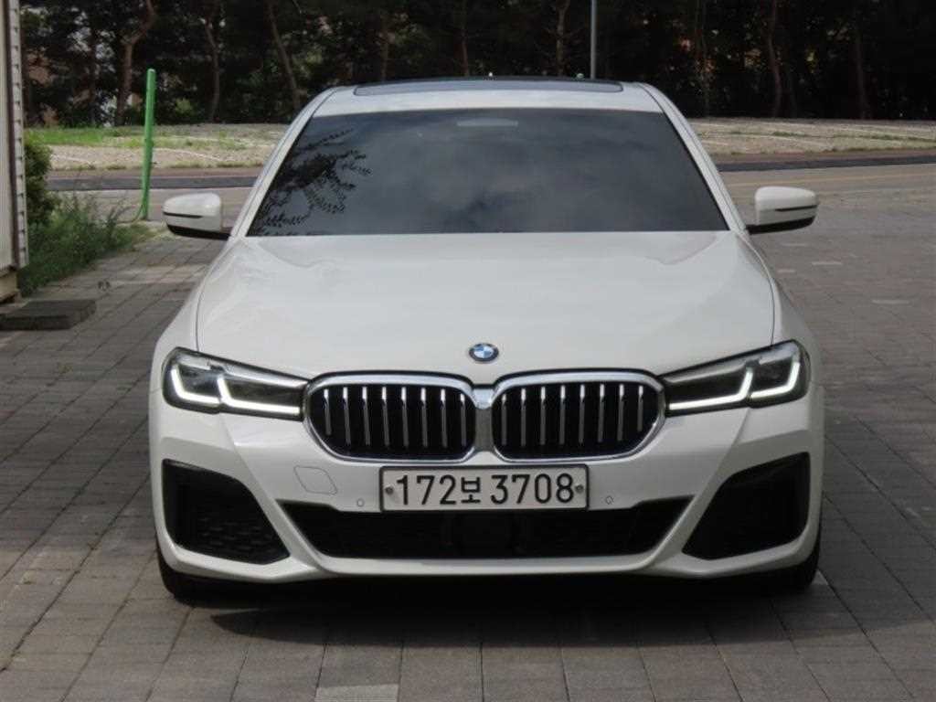 BMW 5시리즈 5시리즈 (G30) 520i M 스포츠 이미지 1