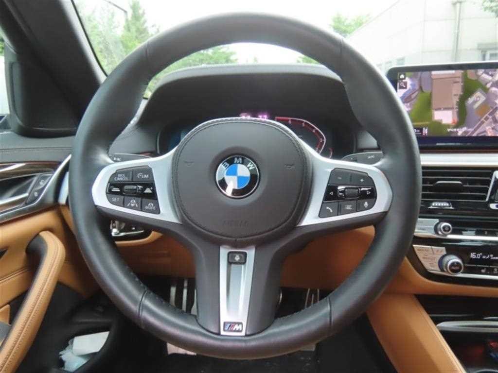 BMW 5시리즈 5시리즈 (G30) 520i M 스포츠 이미지 16