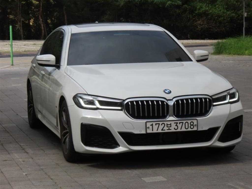 BMW 5시리즈 5시리즈 (G30) 520i M 스포츠 이미지 2
