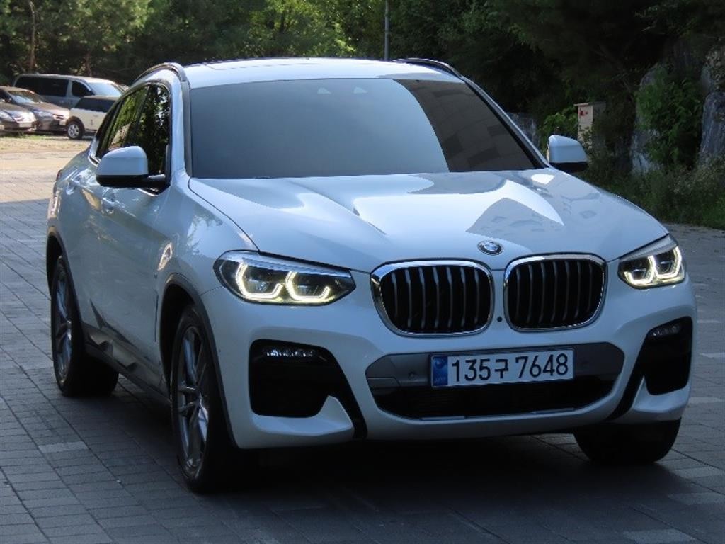 BMW X4 X4 (G02) xDrive 20i M 스포츠 X 이미지 2