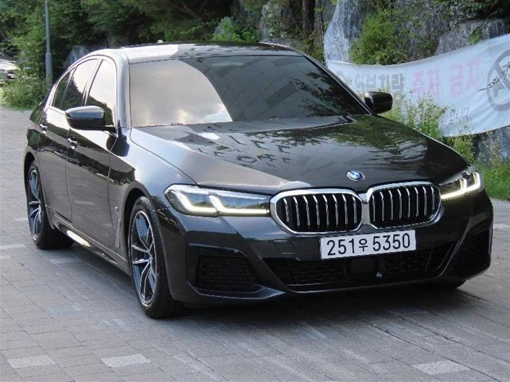 BMW 5시리즈 5시리즈 (G30) 520i M 스포츠 이미지 2