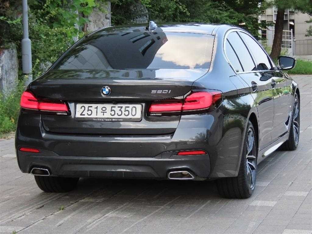 BMW 5시리즈 5시리즈 (G30) 520i M 스포츠 이미지 3