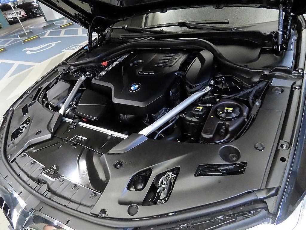 BMW 5시리즈 5시리즈 (G30) 520i M 스포츠 이미지 19