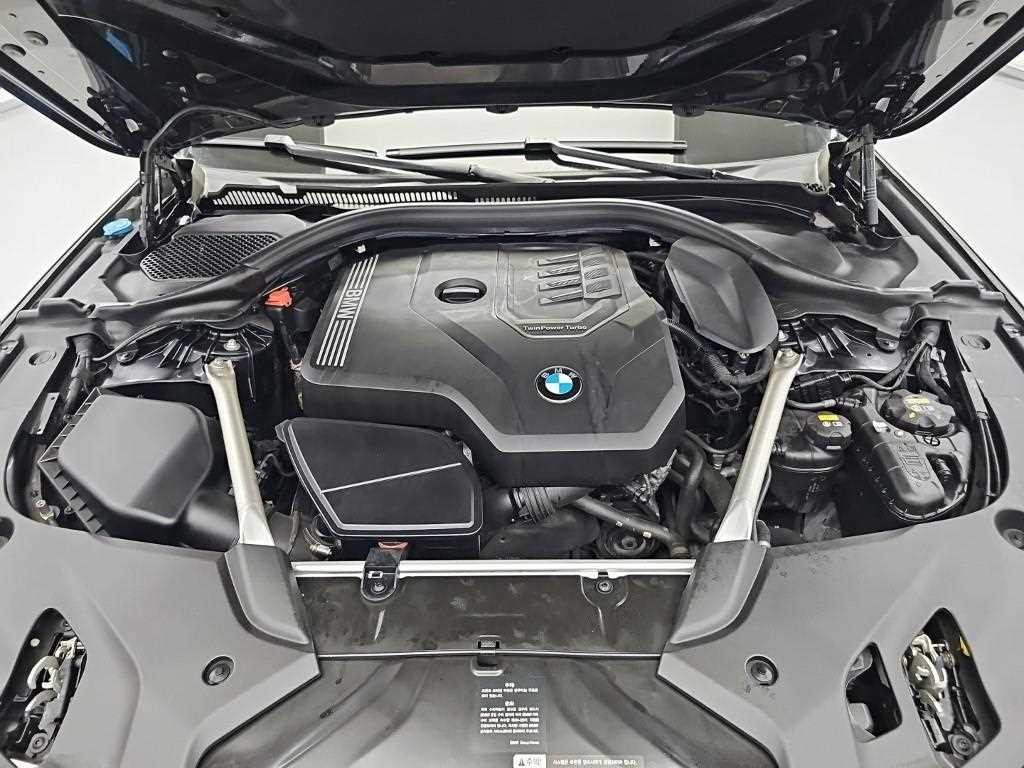 BMW 5시리즈 5시리즈 (G30) 530i 럭셔리 플러스 이미지 5