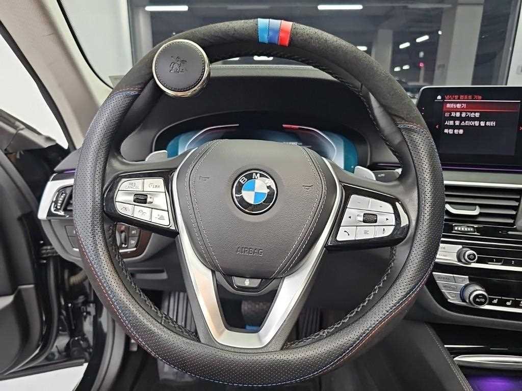 BMW 5시리즈 5시리즈 (G30) 530i 럭셔리 플러스 이미지 9