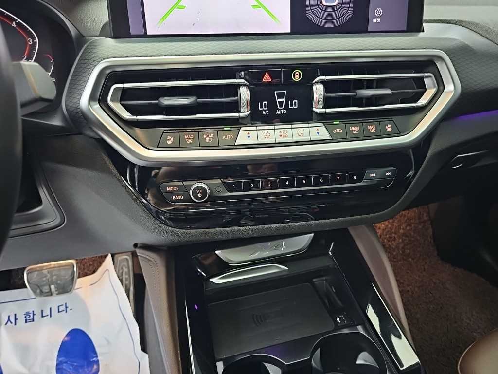 BMW X4 X4 (G02) xDrive 20i M 스포츠 이미지 10