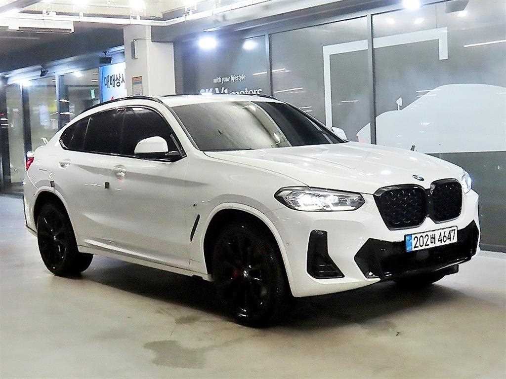 BMW X4 X4 (G02) xDrive 20i M 스포츠 프로 이미지 1