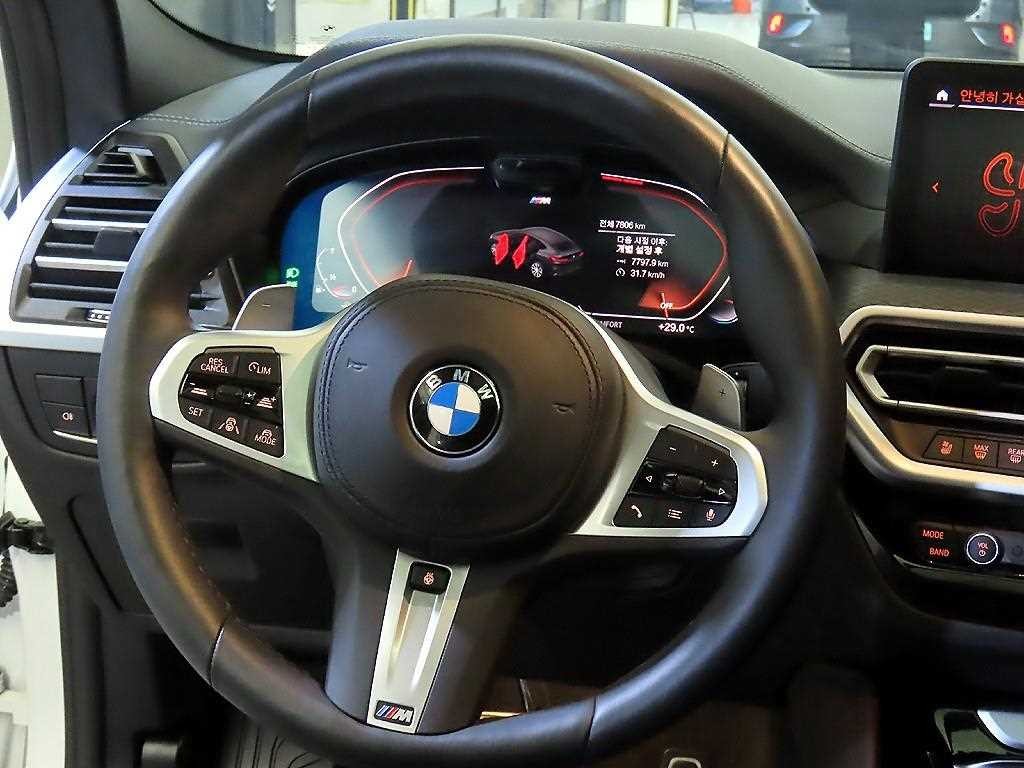 BMW X4 X4 (G02) xDrive 20i M 스포츠 프로 이미지 8