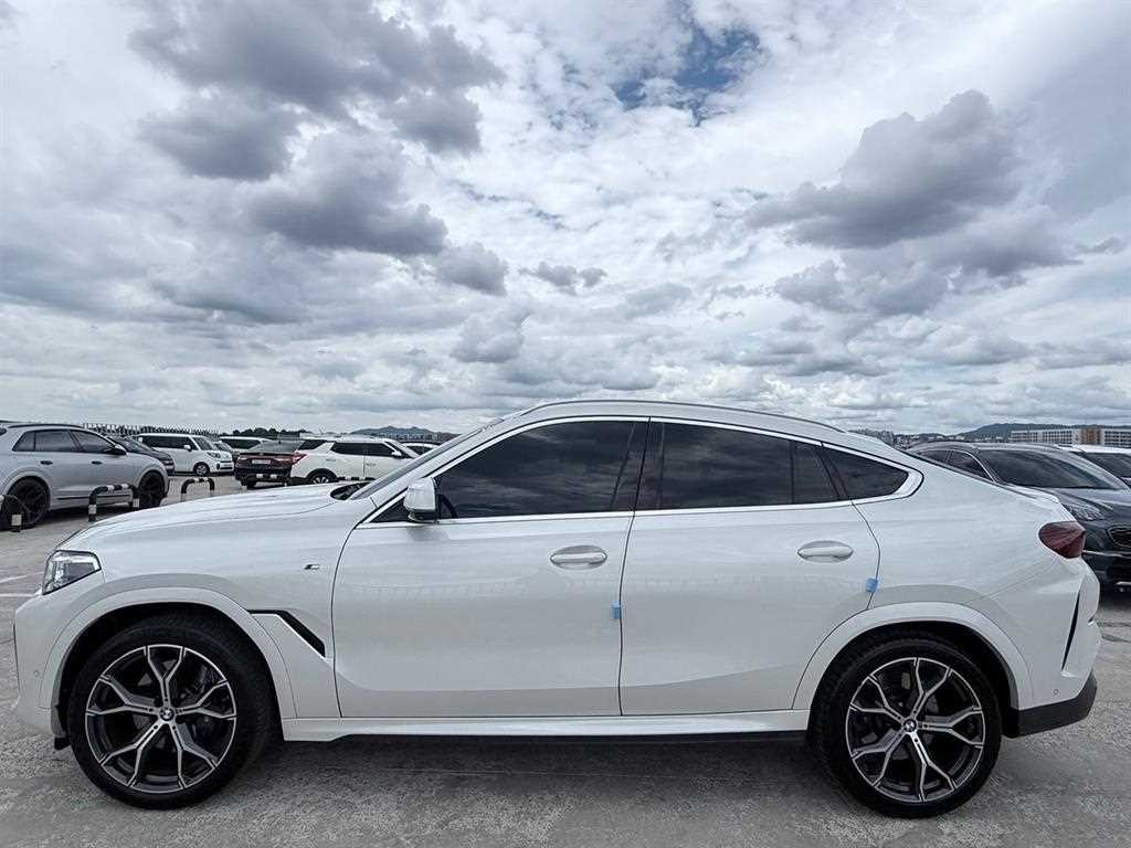 BMW X6 X6 (G06) xDrive 40i M 스포츠 이미지 3