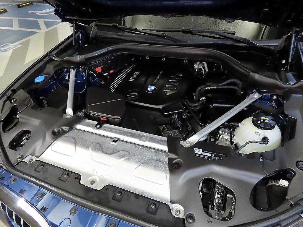 BMW X4 X4 (G02) xDrive 20i xLine 이미지 19