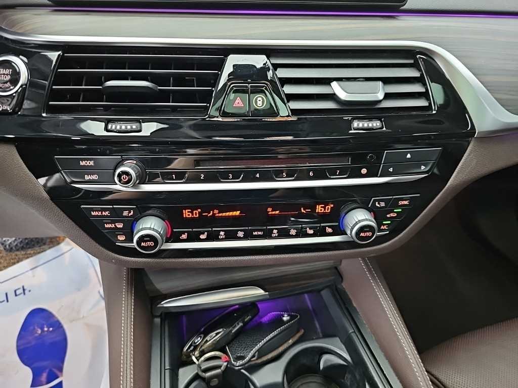 BMW 5시리즈 5시리즈 (G30) 520d xDrive 럭셔리 플러스 이미지 10