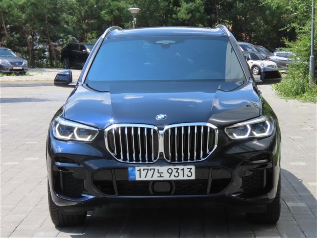 BMW X5 X5 (G05) xDrive 40i M 스포츠 이미지 1