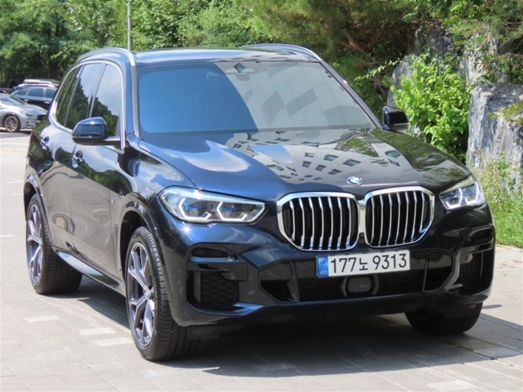 BMW X5 X5 (G05) xDrive 40i M 스포츠 이미지 2