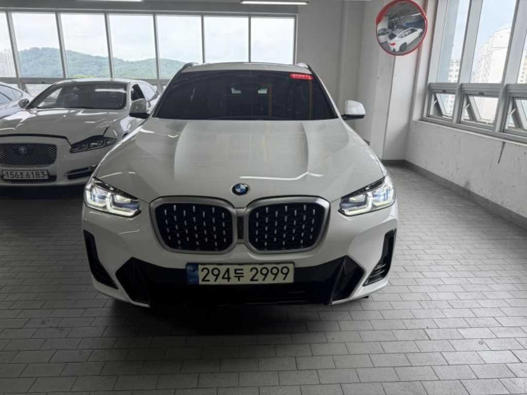 BMW X4 X4 (G02) xDrive 20i M 스포츠 프로 이미지 1