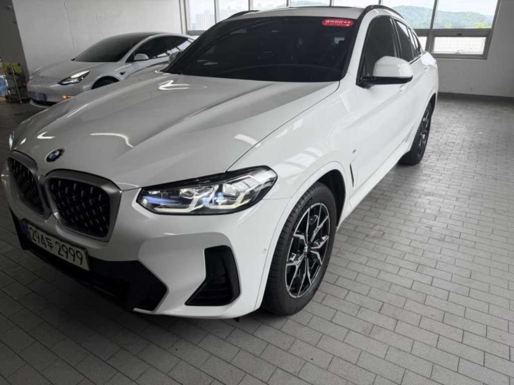 BMW X4 X4 (G02) xDrive 20i M 스포츠 프로 이미지 3