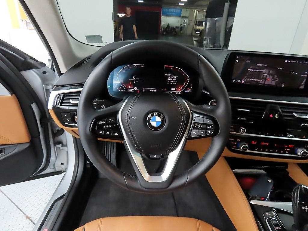 BMW 5시리즈 5시리즈 (G30) 520i 럭셔리 이미지 9
