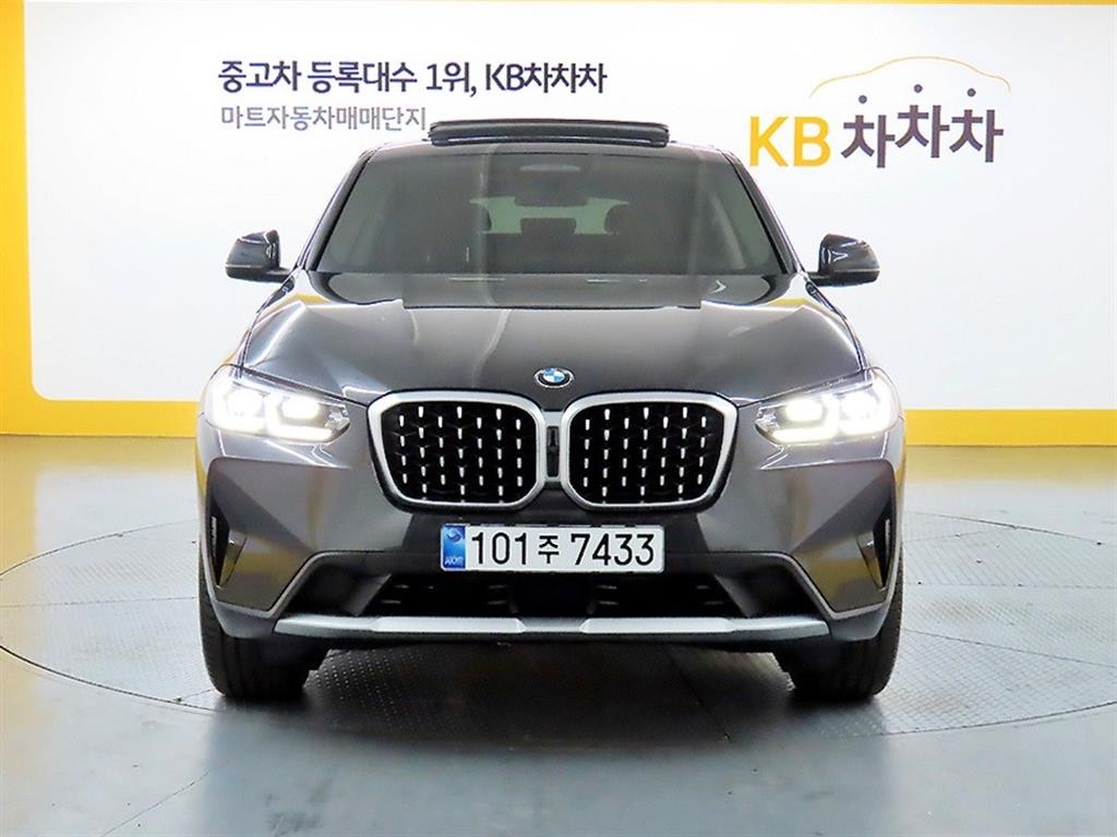 BMW X4 X4 (G02) xDrive 20i xLine 이미지 1