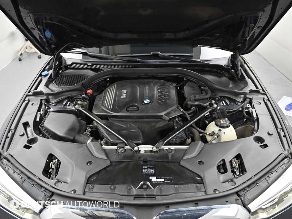 BMW 5시리즈 5시리즈 (G30) 520d M 스포츠 플러스 이미지 7