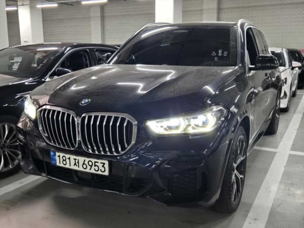 BMW X5 X5 (G05) xDrive 45e M 스포츠 이미지 1