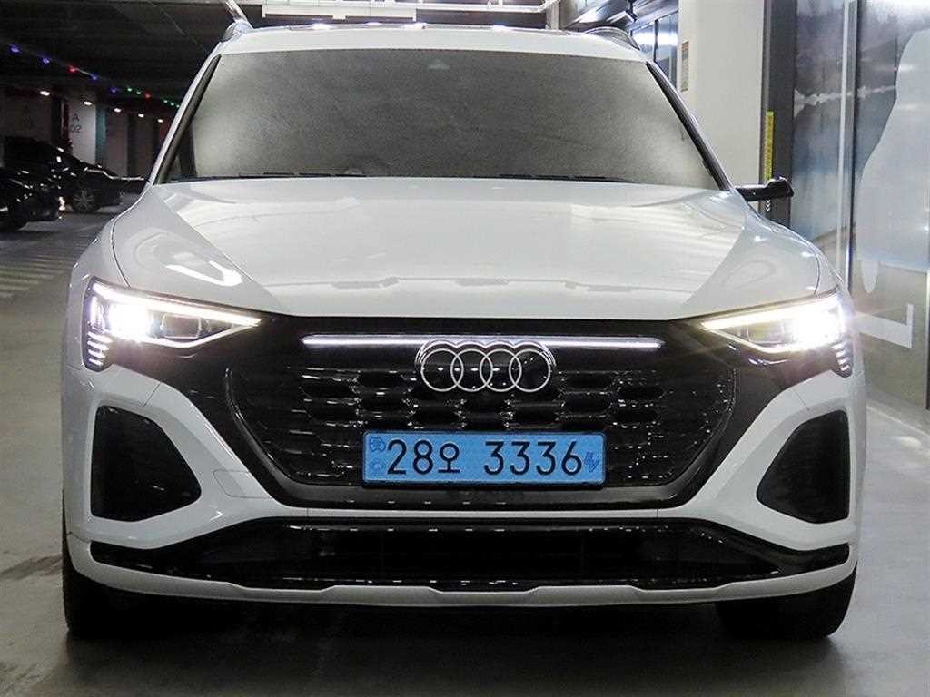 아우디 Q8 Q8 e-트론 55 콰트로 프리미엄 이미지 2