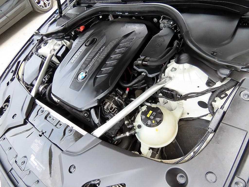 BMW 5시리즈 5시리즈 (G30) 530d 럭셔리 플러스 이미지 19