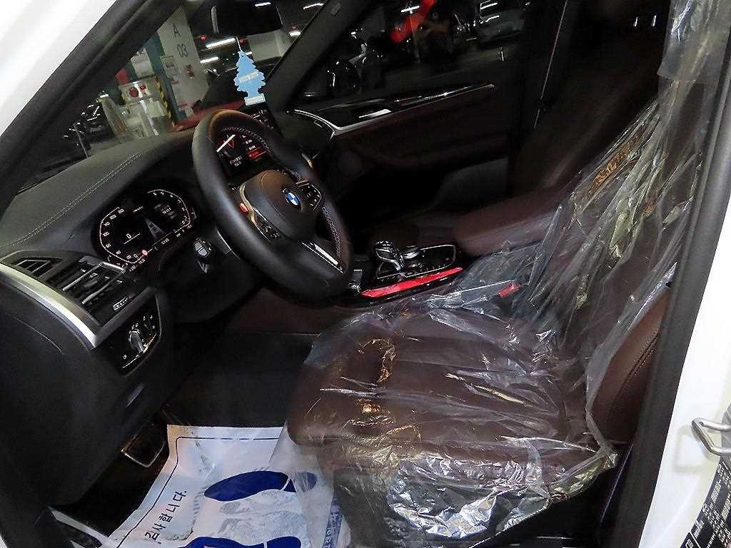 BMW X4 X4 (G02) xDrive M40i 이미지 6