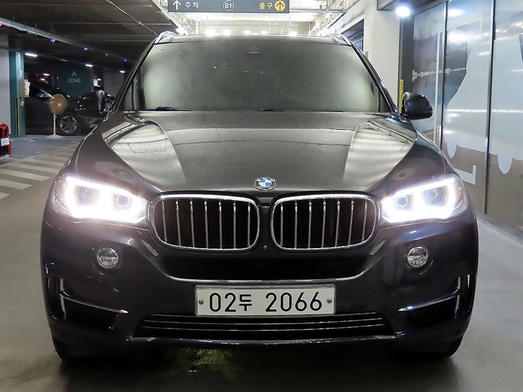 BMW X6 X6 (F16) xDrive 30d 이미지 2