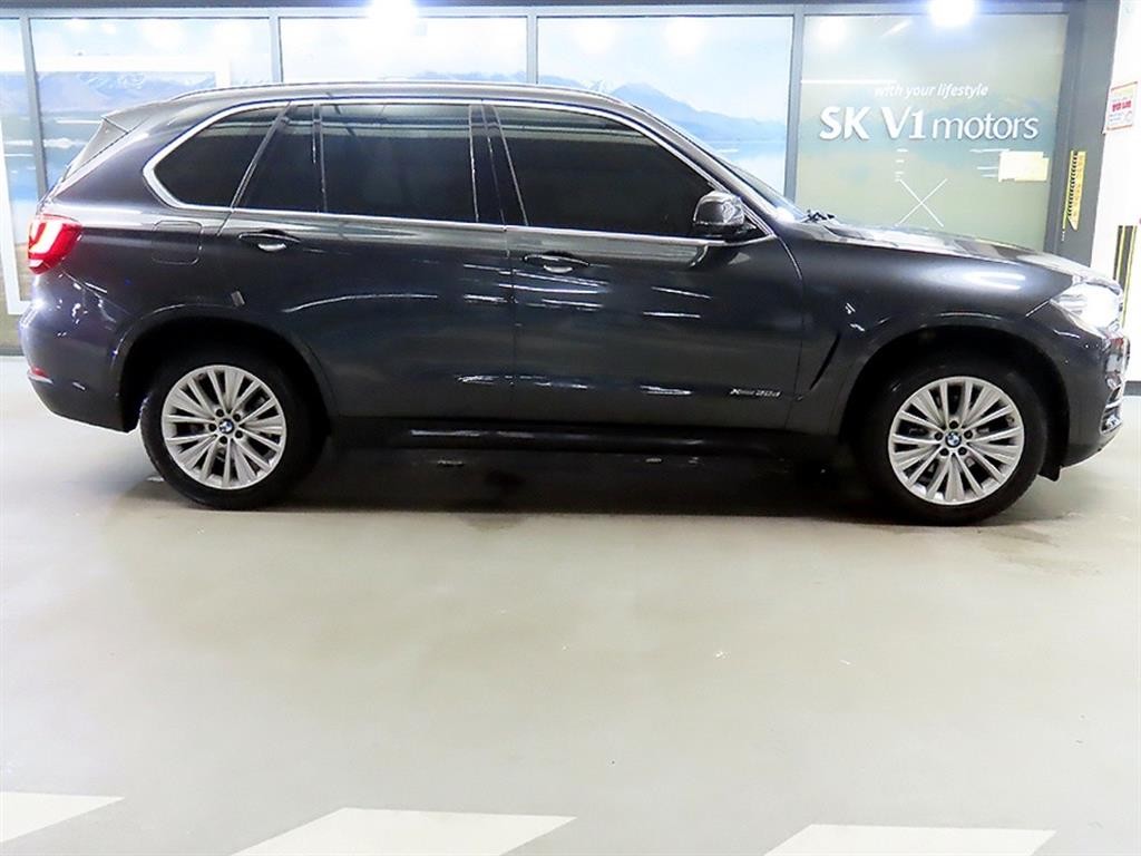 BMW X6 X6 (F16) xDrive 30d 이미지 3