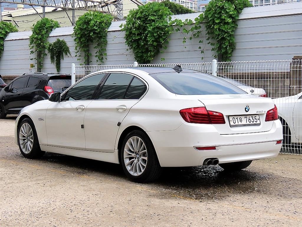 BMW 5시리즈 5시리즈 (F10) 520d 럭셔리 플러스 이미지 3
