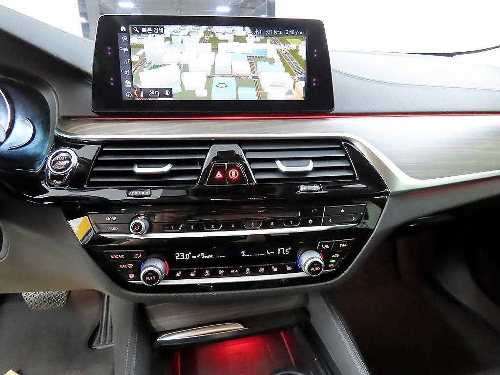 BMW 5시리즈 5시리즈 (G30) 530i 럭셔리 플러스 이미지 13