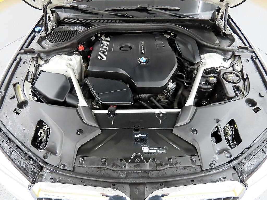 BMW 5시리즈 5시리즈 (G30) 530i 럭셔리 플러스 이미지 19