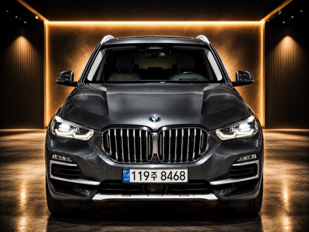 BMW X5 X5 (G05) xDrive 30d xLine 이미지 1